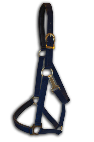 Deluxe 3-Ply Nylon Halter w/Snap